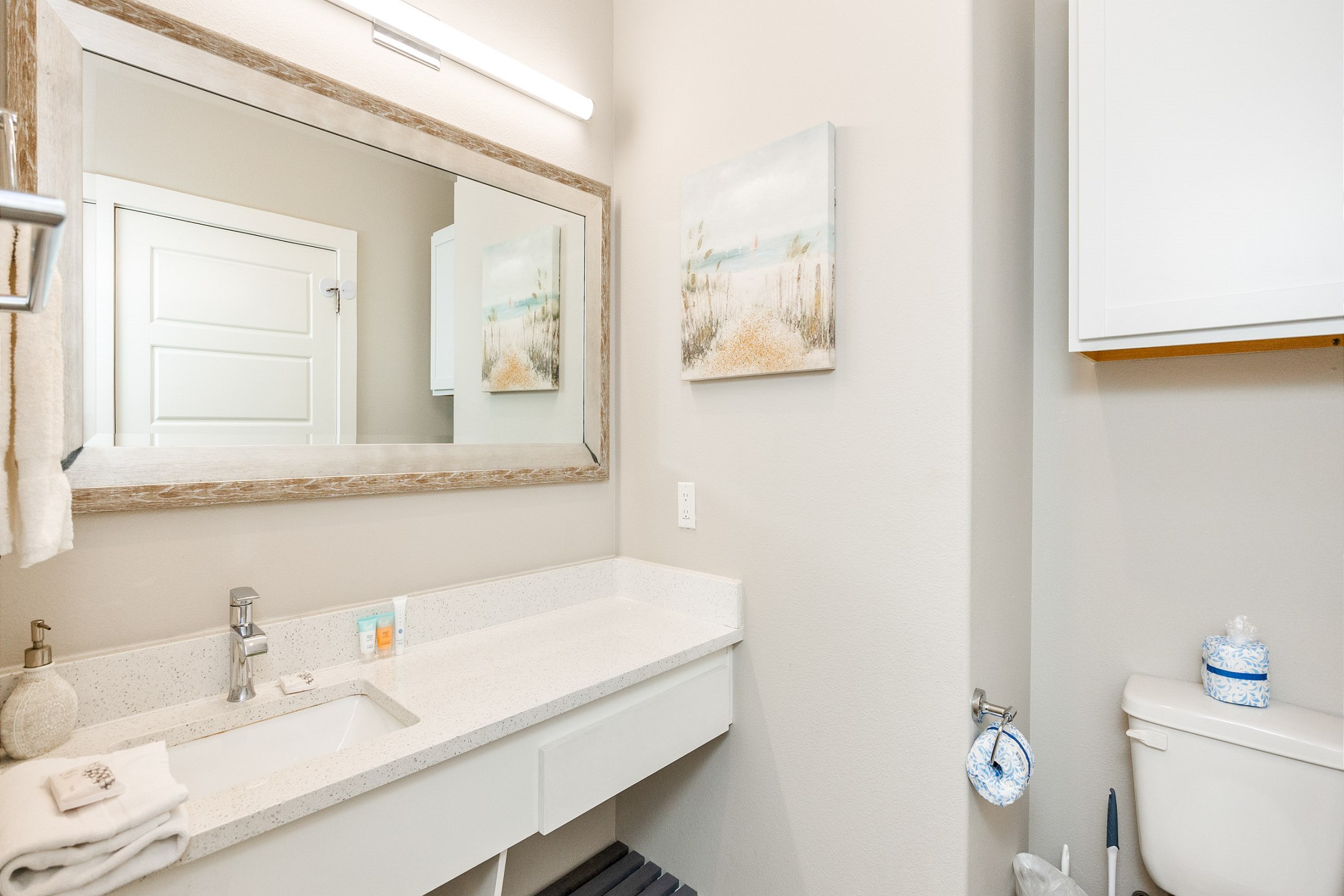 Full bathroom with sink, toilet, and walk-in shower
