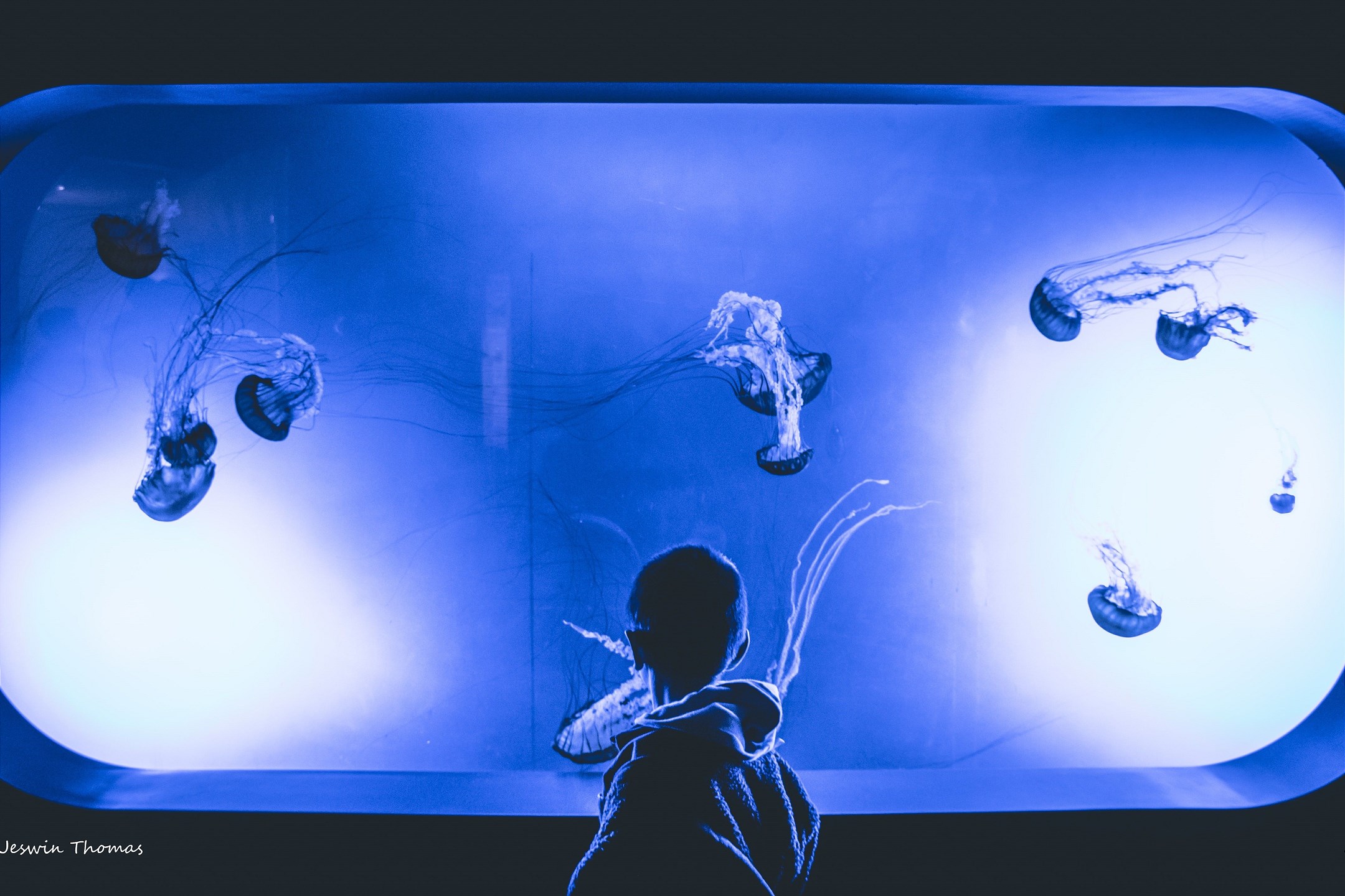 Shoreline Studio CBC297 | Photo 7