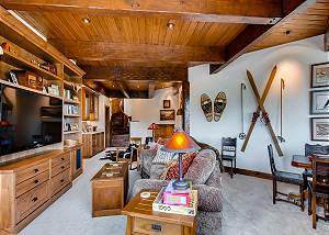 Den on Lower Level