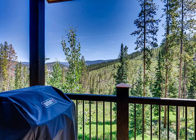 Lookout over gas grill