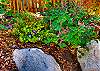 Vibrant landscaping