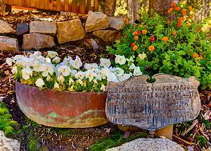 Picturesque gardens