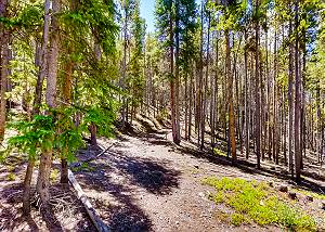 Access to hiking