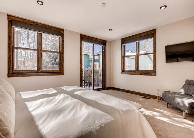 - sleeps 2 to 3 in one king bed and one twin sleeper sofa
