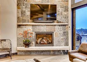 TV and fireplace in living room