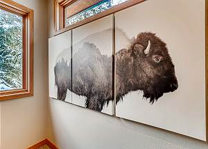BisonRidge Lodge
