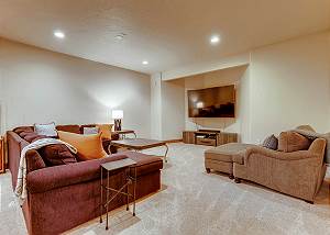 Lower Level Den