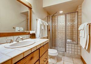 Lower Level Hall Bath