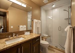 Lower Level Bath