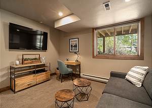 Lower Level Den