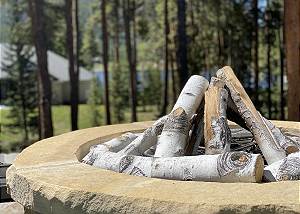 Unique gas fire pit logs