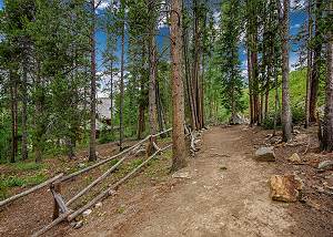 This is the Fairy Trail
