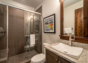 Lower Level Hall Bath