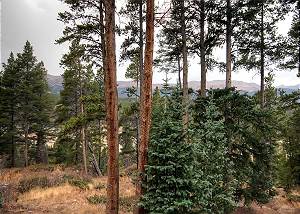 Wild Bill's Retreat