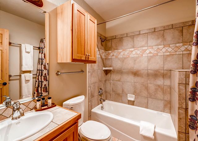 Lower Level Hall Bath Exclusive to Elk Room