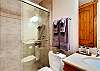 Lower Level Bath