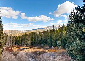 Amazing Views of Baldy Mountain