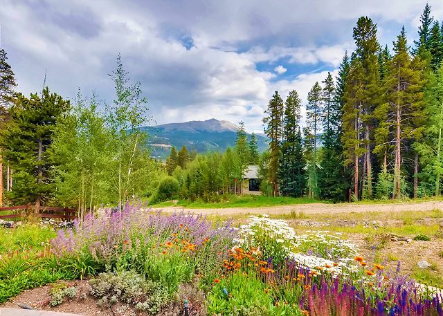 Chateau of Breckenridge