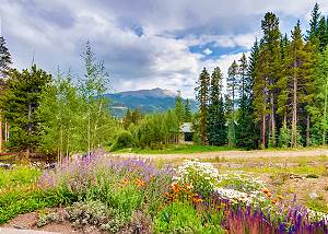 Colorful Colorado meets