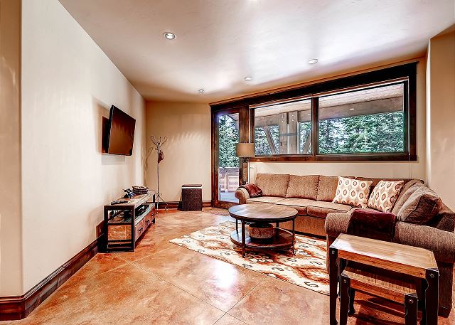 Lower Level Den - Sofa converts to queen sleeper sofa for extra sleeping