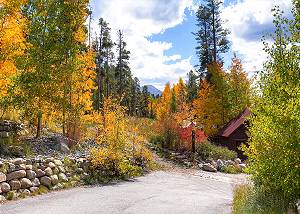 Beautiful Scenery