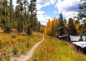 Nearby walking and hiking trails!