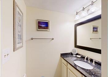 Master Bathroom Vanity