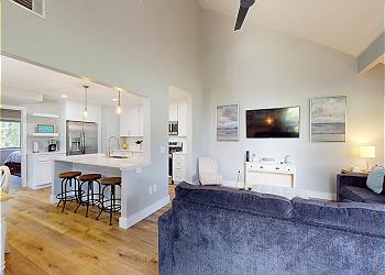 Luxury Open Floor Concept