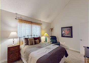 Downstairs Guest Bedroom with Queen Bed