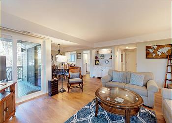 Living Room with Lots of Natural Light