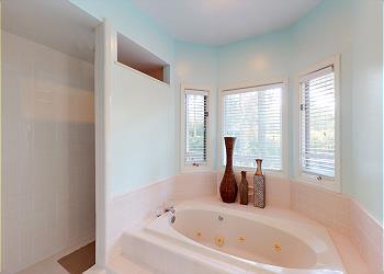 Primary Walk in Shower And Soaking Tub