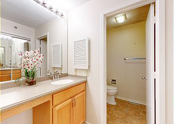 En-Suite Bathroom with Tub and Shower Combination