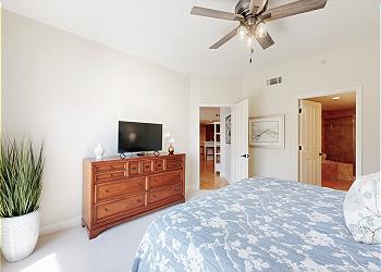 Primary Bedroom with HDTV