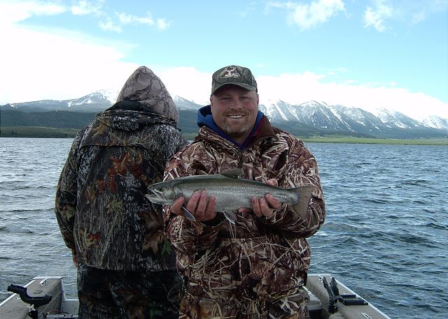 Land cutthroat, brook, and cut-bow hybrid trout at one of the finest fisheries in the West, ID#225181