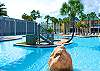 Purple Parrot Resort Outdoor Pool 