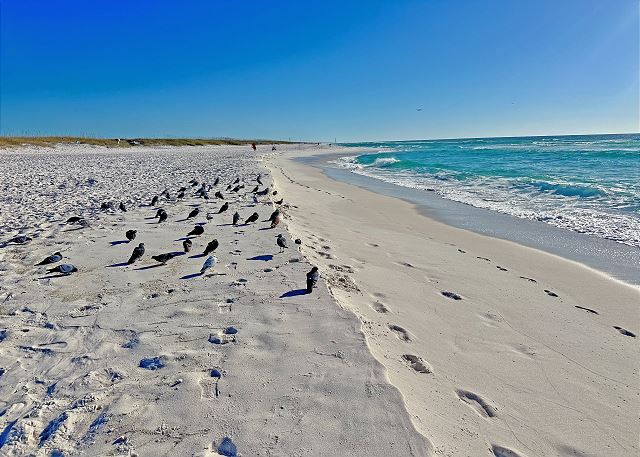 No Problem 6C by PKRM 6