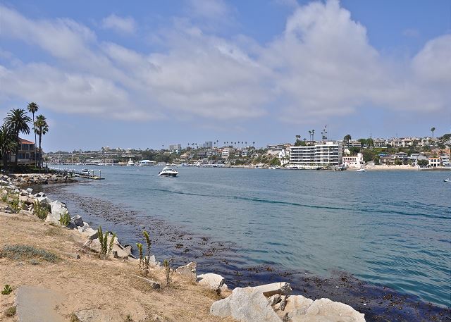 Newport Harbor