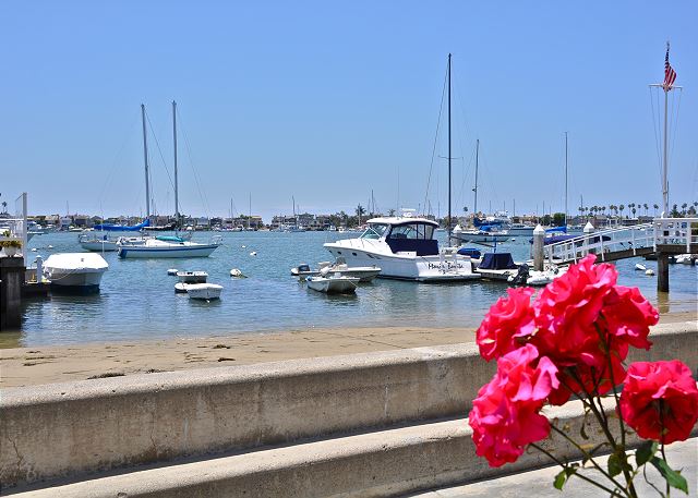 Harbor Views
