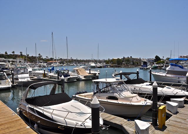 Boats in Newport Harbor