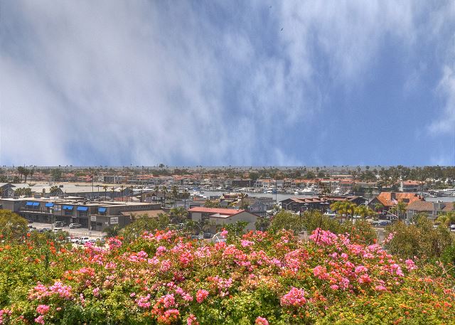 View of Balboa