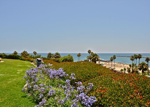 CDM Views