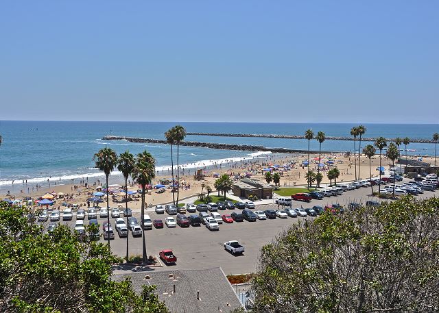 CDM Views