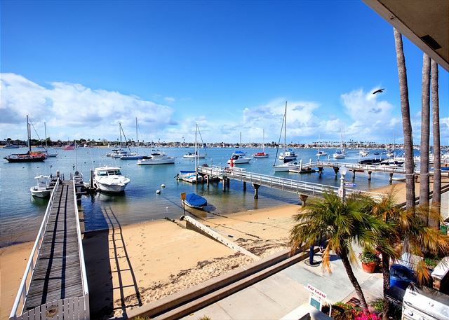Bay views from 1400 South Bayfront
