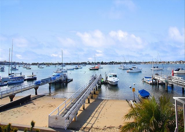 Views of the Bay
