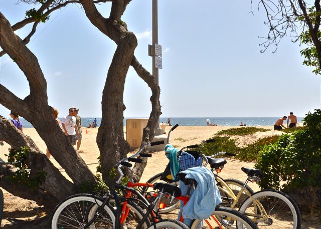 Beach Bike Ride