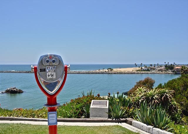 CDM Views
