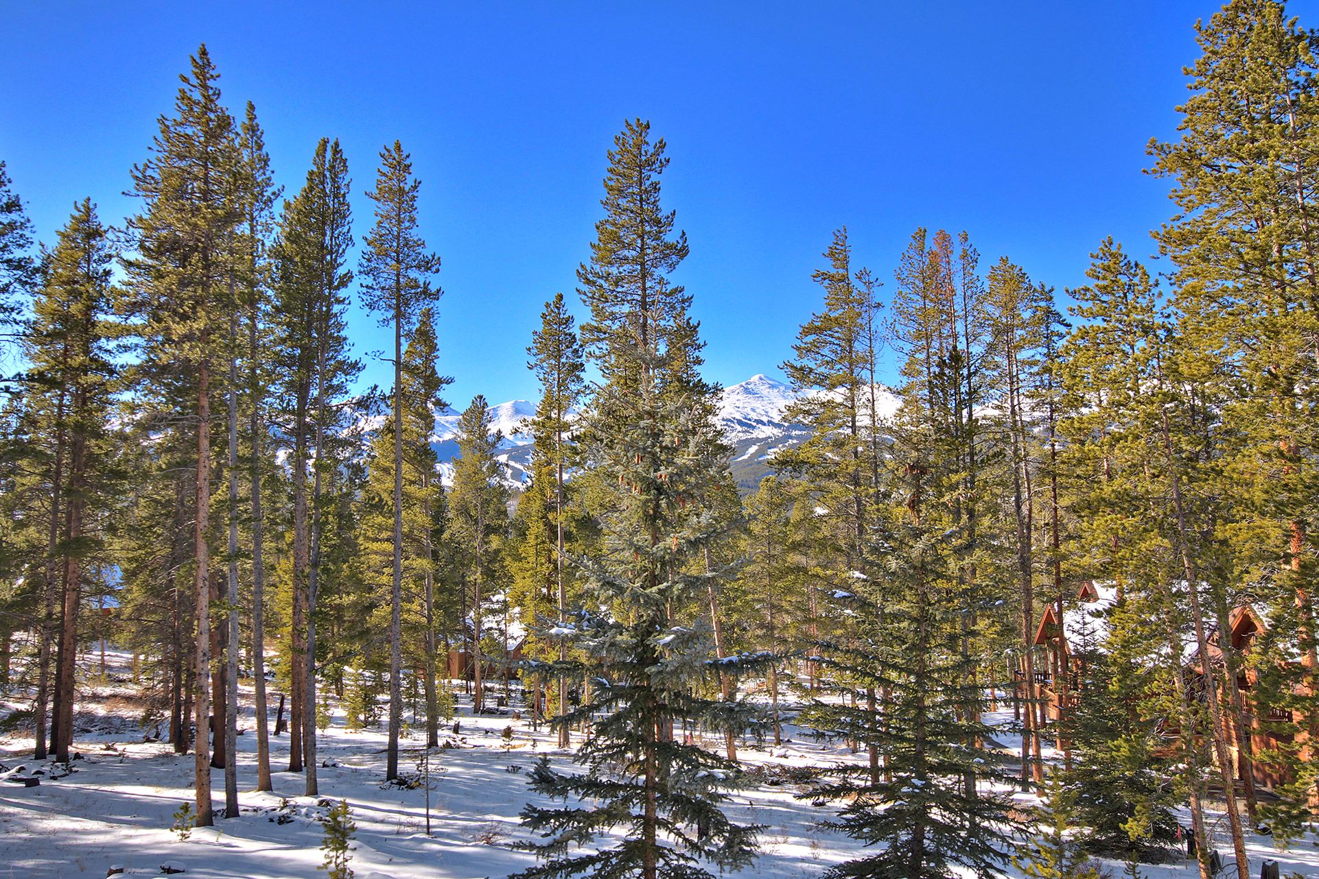 Secluded property with gorgeous forest and mountain views - Evergreen Lodge Breckenridge Vacation Rental