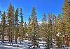 Secluded property with gorgeous forest and mountain views - Evergreen Lodge Breckenridge Vacation Rental 