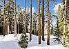 Exterior, Park Forest Chalet, Breckenridge Vacation Rental