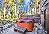 Hot Tub, Park Forest Chalet, Breckenridge Vacation Rental